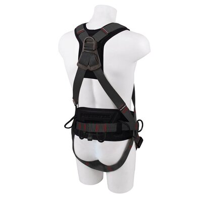 The fall arrest harness POWERTEX HW ECO PLUS back view.
