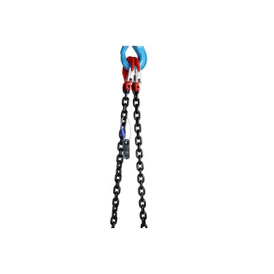 Lashing Chain hooks side view